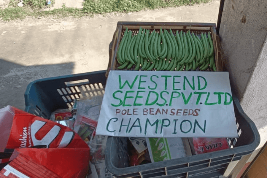 About Westend Seeds